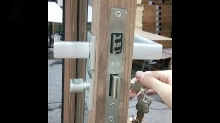 Puertas de entrada principal residencial de aluminio de metal personalizadas Puertas dobles